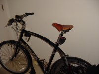My diamondback with a Brooks B.72 saddle