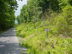 White Deer Pike, Bald Eagle State Forest