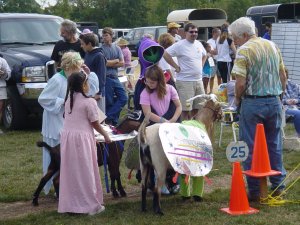 Alien Abduction Goat Alien Abduction Goat