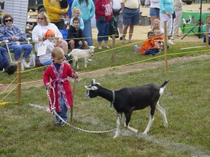 A boy and his goat.