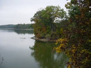 Some scenery