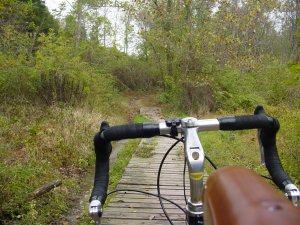 A wooden Bridge over the swamp