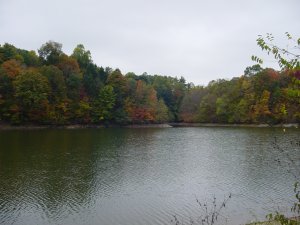 More Scenery