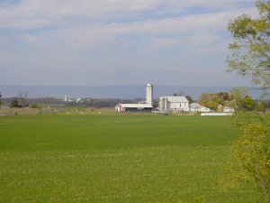 A farm.  Those are cows in the background