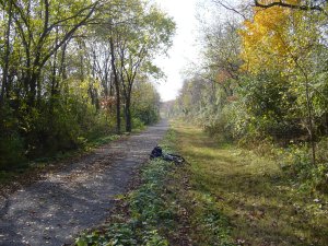 The Trail