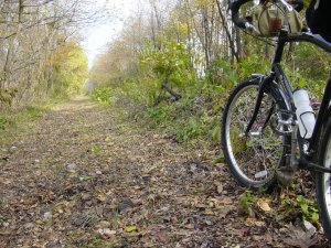 The trail