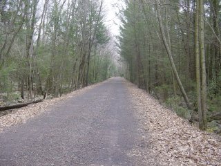 The Trail