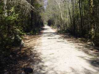 The Trail
