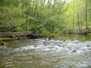 Scenery
