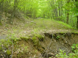 Washed out road