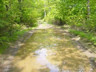 Mud Puddle