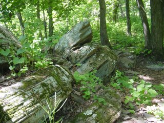 Rocks Rocks